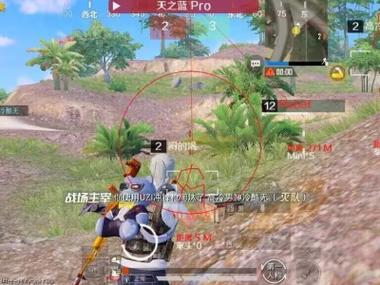 苹果PUBG免root辅助（PUBG免root辅助的主要功能有哪些？）
